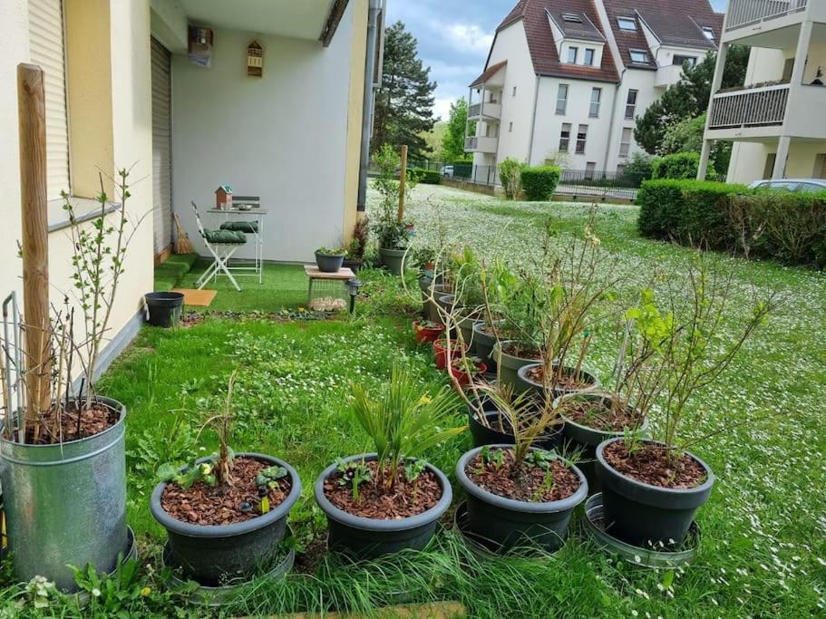 L'Univers Au Blanc. Strasbourg Exteriör bild